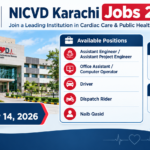 NICVD Karachi Jobs 2026