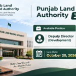 Punjab Land Record Authority Job 2026